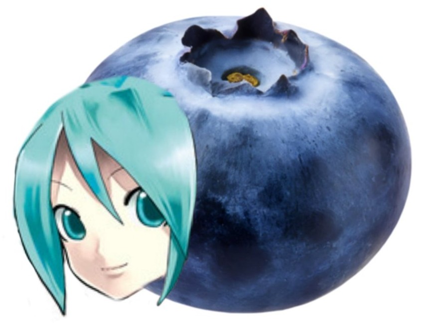 The face of Hatsune Miku's original box art layered on top of a blueberry.